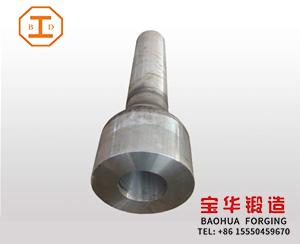 Forging Screw 