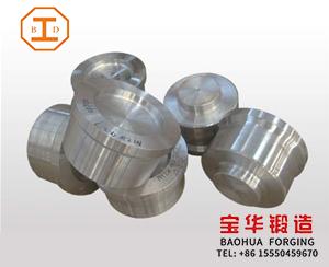 Steel Forgings and Turning Parts